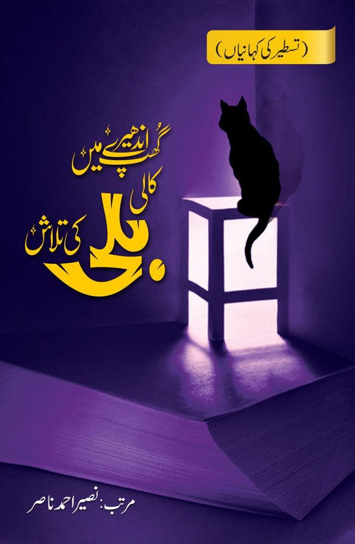 Ghupp Andhairey Mein Kaali Billi Ki Talash